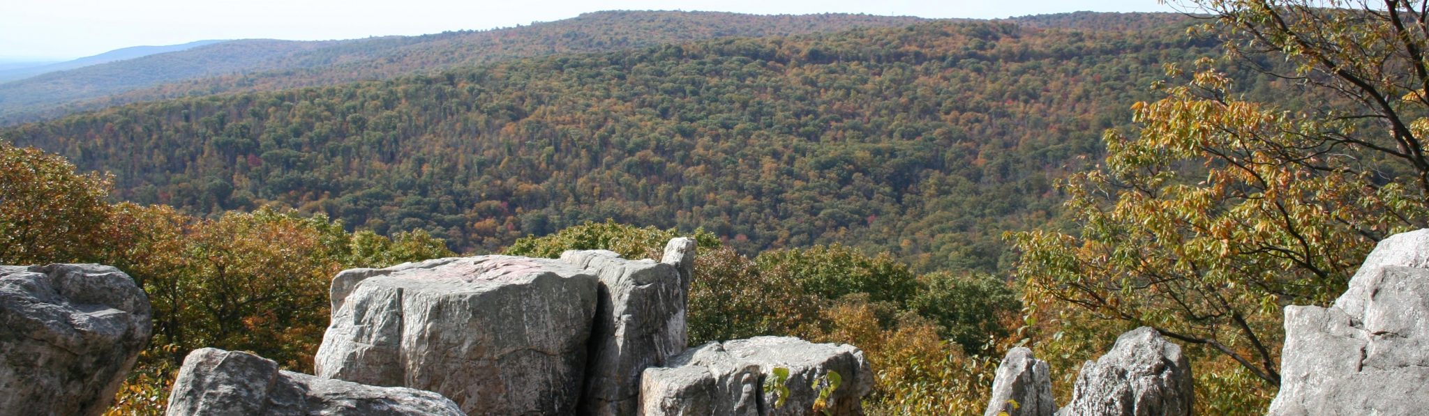 Catoctin Mountain Park - Missing NPF